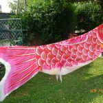 Karpfenbanner