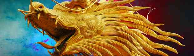 Dragon Dreaming. Vom Träumen, Planen, Handeln und Feiern